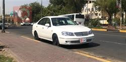 نيسان صني